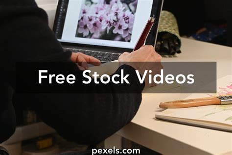 pexel videos|Free Stock Video Footage & Video Clips